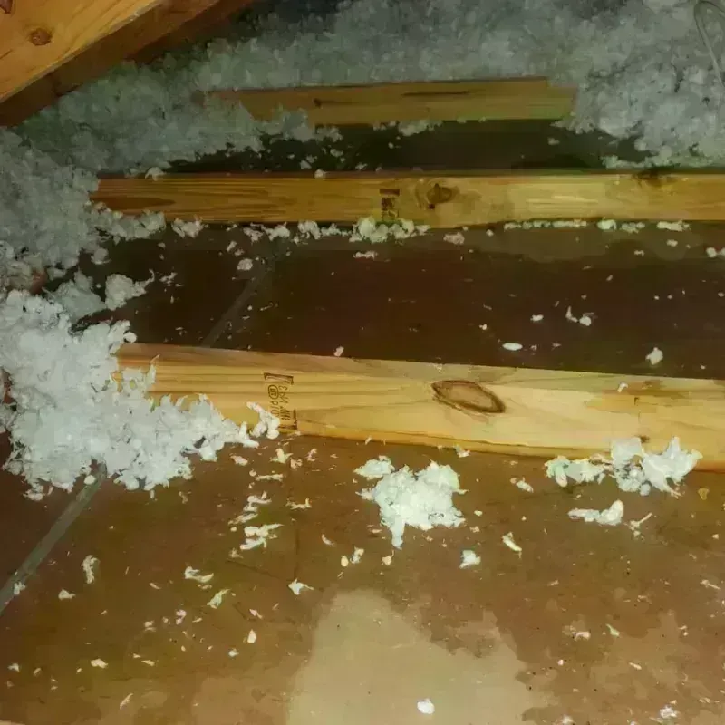 Attic Water Damage in Seneca, KS