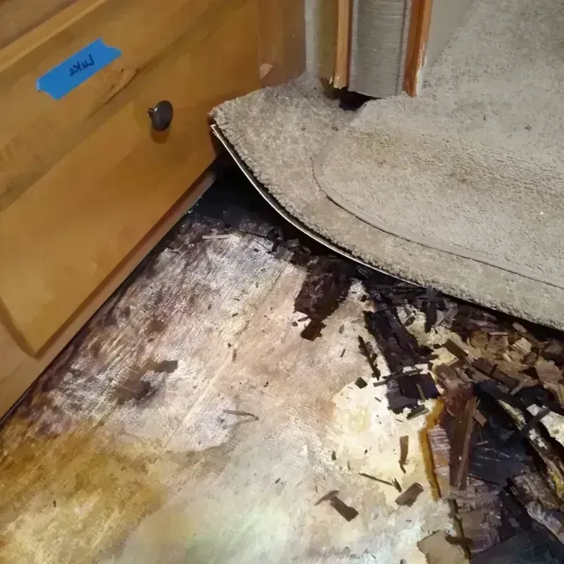 Wood Floor Water Damage in Seneca, KS